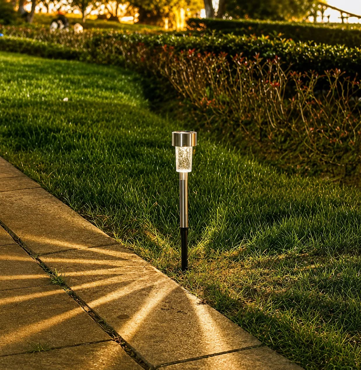 Solar Pathway Lights — Warm White