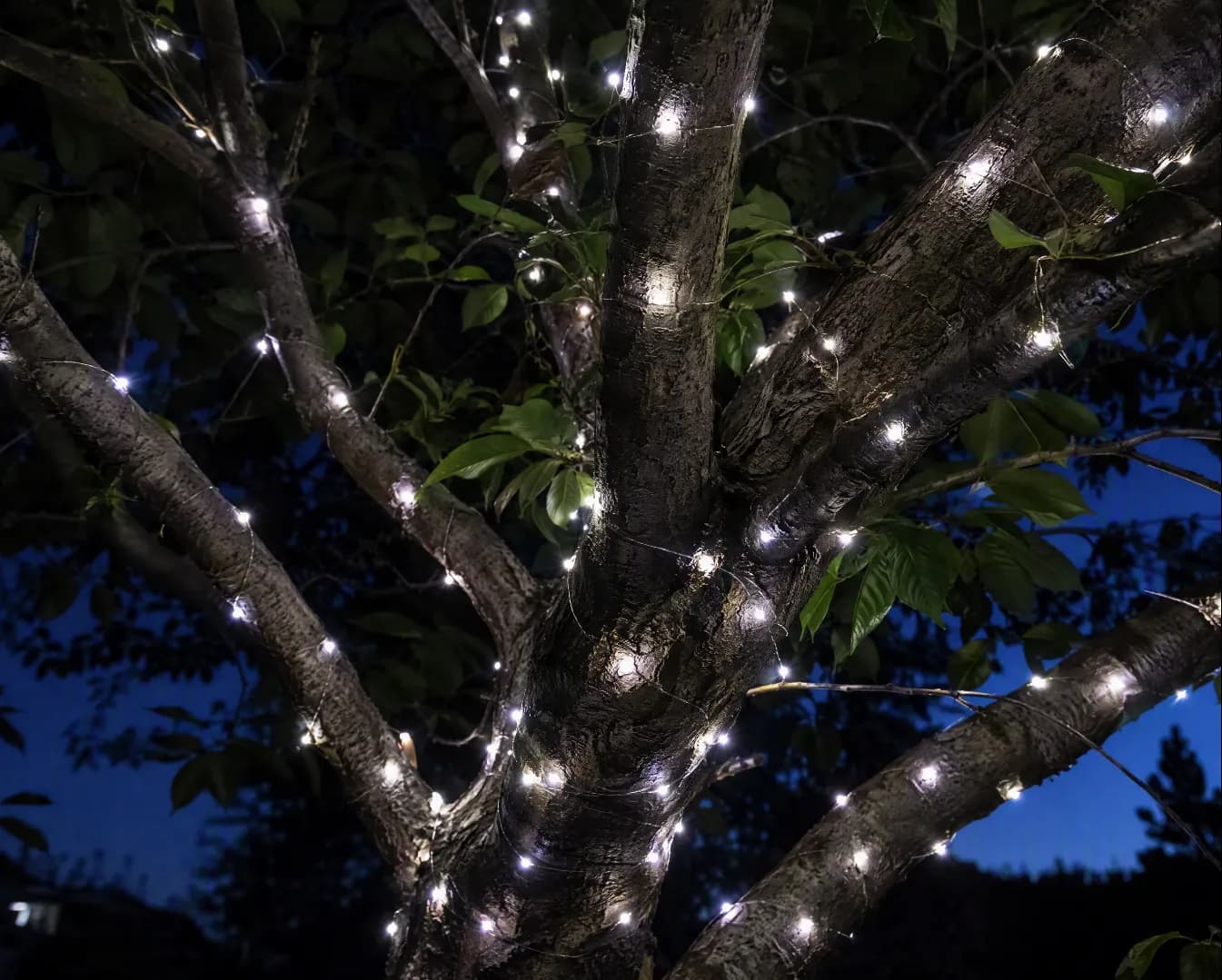 White — solar hanging lights