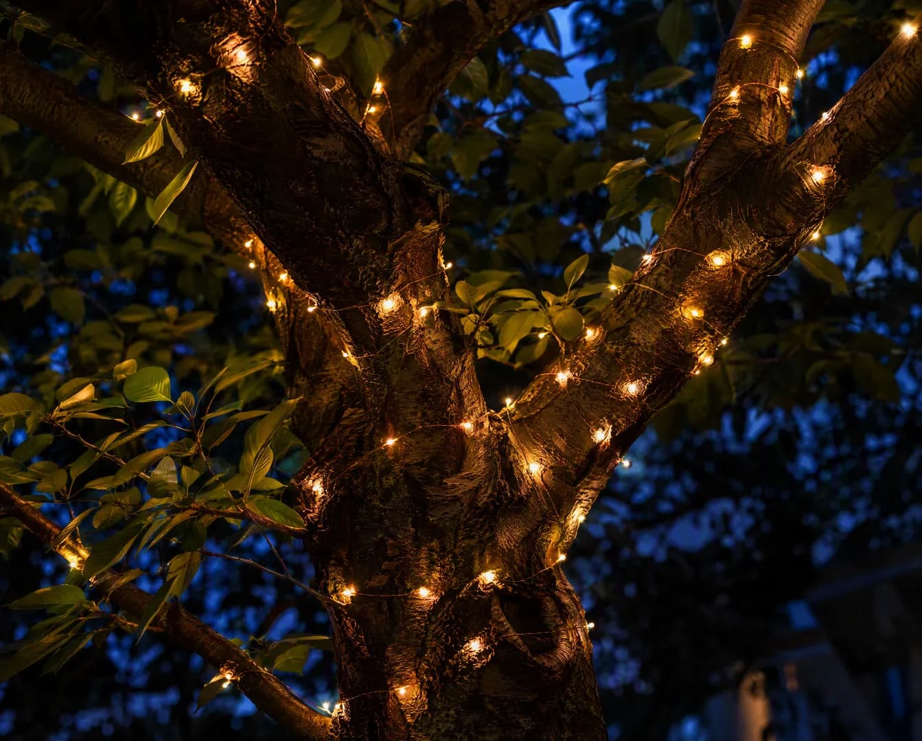 Solar Hanging Lights — Warm White — view 2